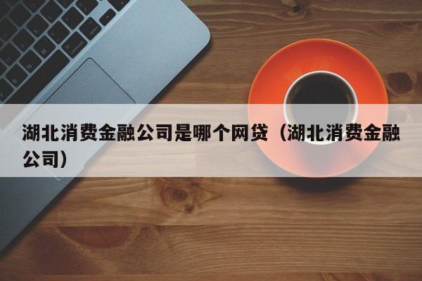湖南消费金融公司是哪个网贷（十九岁能用哪个网贷）