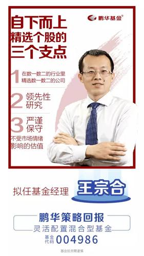 王宗合代表作？（王宗合管理的基金哪个最好）