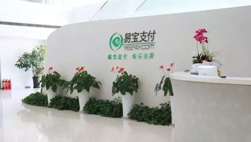 易宝支付是哪个上市公司的？（北京易宝金融是哪个好）