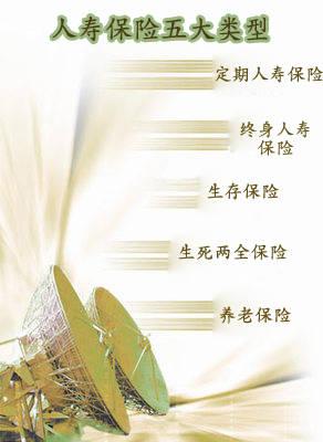 人寿财产保险与人寿保险有什么区别?哪个更好一些？（财险和寿险哪个好）