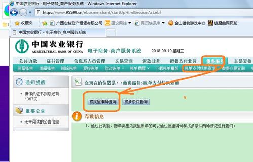 农行支行行号怎么查？（农业银行怎么看在哪个路办的）