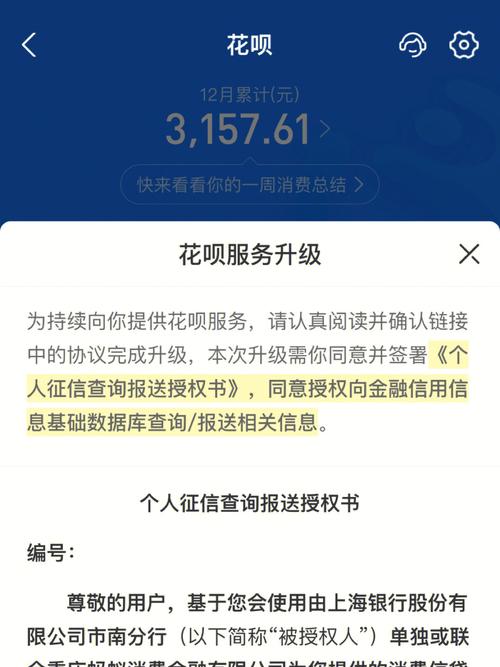 银行卡被暂停非柜面还能扣花呗吗？（哪个银行不接受网贷）