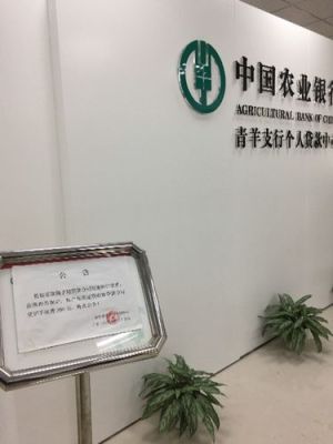 中国农业银行股份有限公司有个农业信贷吗？（哪个银行可以做农业贷款呢）