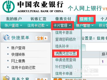 农行信用卡帐号如何看？（农行信用卡用哪个查看）