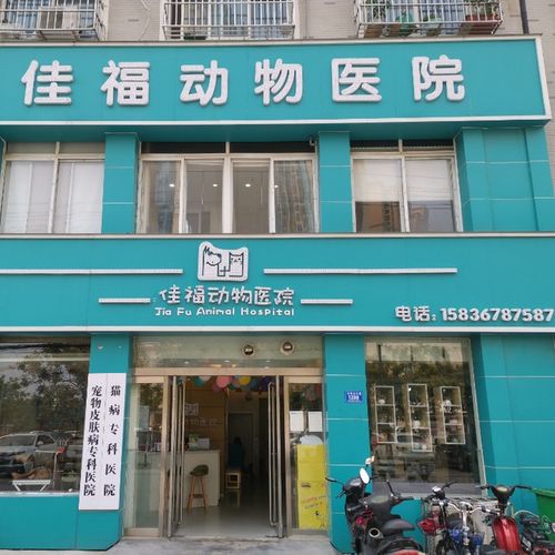 驻马店哪里有兽医防疫站？（河南省驻马店雪松路属于哪个区）
