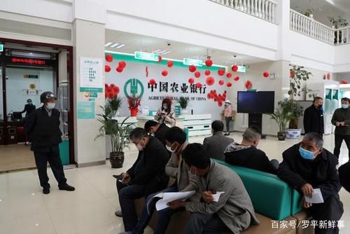罗平属于哪个市？（中国农业银行罗平县支行属于曲靖哪个支行）