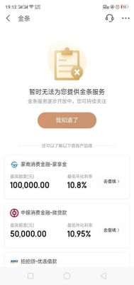京东金条显示有2000额度为什么借不了？（2000哪个平台好借）