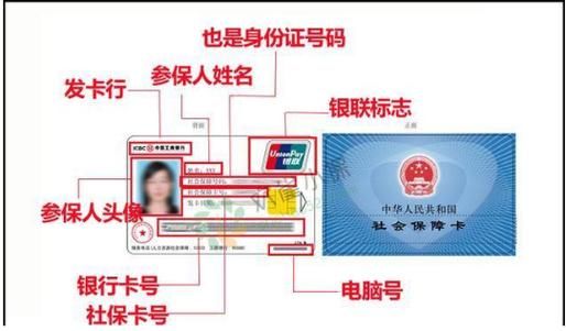 学生社保卡填银行名称都可以吗？（学生社保卡卡号是哪个）