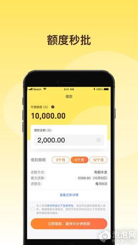 有什么正规的借贷平台？（网上借钱用哪个应用）