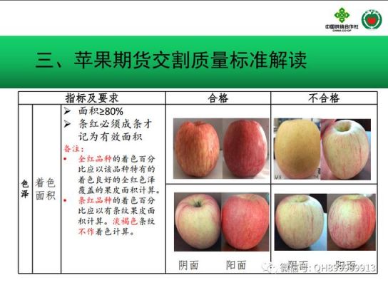 苹果期货是什么？（苹果期货和哪个品种有关联）