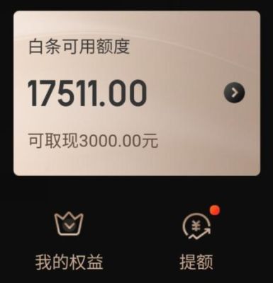 京东金条跟白条哪个额度多？（京东白条花呗额度哪个高）