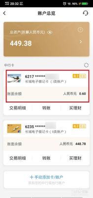 如何办理双币种借记卡？（双币卡怎么看是哪个银行）