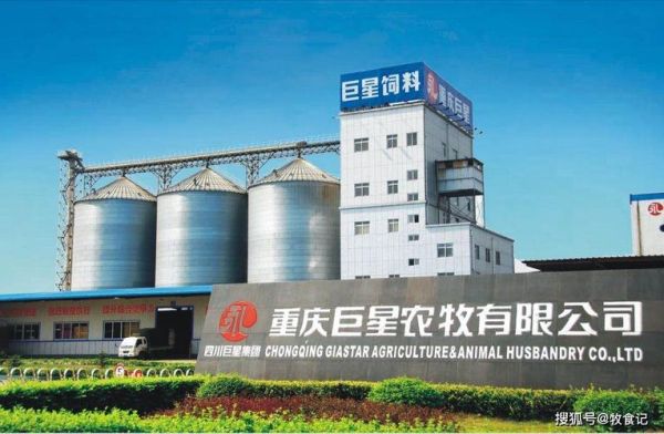 乐山巨星农牧股份有限公司上市时间？（pig在哪个交易所上市）