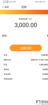 网贷太多银行可以申请下来贷款吗？（哪个网贷平台贷款多）