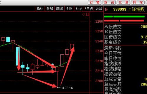 基金大盘是怎么看的，在那里可以看到？（哪个电视台分析股市基金）