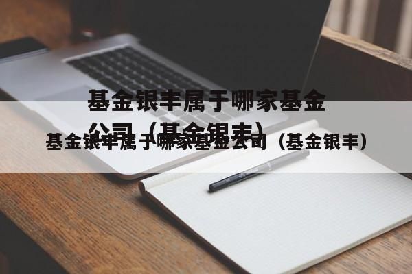 银丰集团的创始人？（基金银丰哪个基金公司）