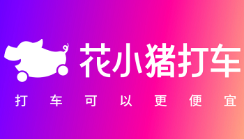花小猪小猪特价价是什么意思？（优惠花是哪个平台贷款）