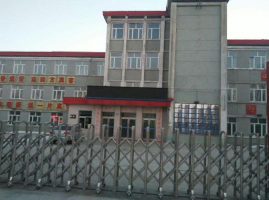 大庆市龙凤区有哪些小学，那个学校人最多最好?谢谢了？（大庆龙凤农行是哪个支行）