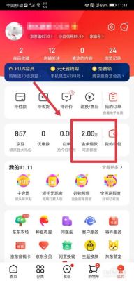 京东金条怎么分36期还款？（哪个地方可以分36期还款）