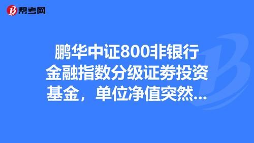 鹏华中证800非银行金融指数分级证劵投资基金，单位净值突然变成1，怎么回事？（鹏华指数基金哪个好）