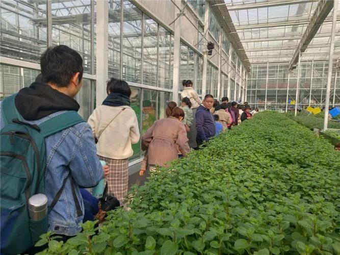 建业绿色基地花卉市场营业时间？（花都哪个农业银行周六可办理业务）