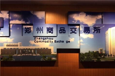 郑州期货交易所都有那些？（铜期货是哪个交易所）