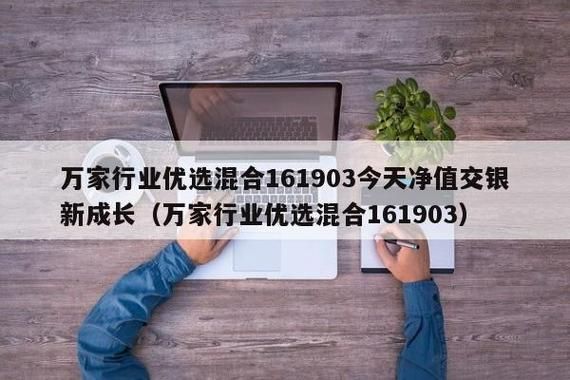 万家行业优选混合属于新能源吗？（万家优选主要是投资哪个行业）