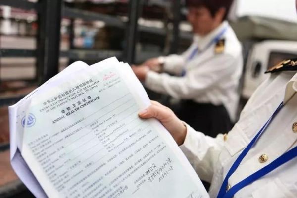 海关是什么意思？求高手，尽量详细点，谢谢？（证券公司和海关哪个好）