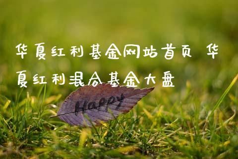 华夏回报和华夏红利哪个好？（华夏大盘和华夏红利哪个好）