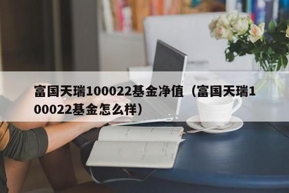 谁知道富国天瑞好不好呢？（富国天瑞基金在哪个银行购买）