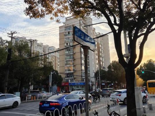 上海莘庄报春路沪C牌照能进去吗？（闵行区报春路是哪个工商所管）