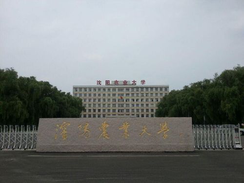 沈阳农业大学有几个校区及校区地址，哪个校区最好？（沈阳农业银行在哪个地方）