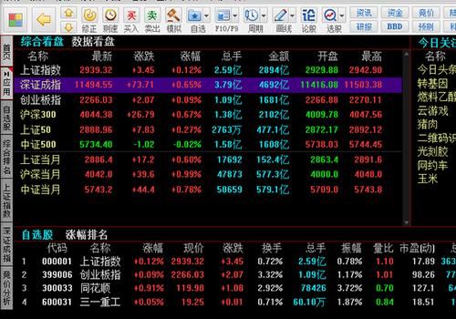 5开头的股票是什么股票啊？（阿拉伯是哪个版块的股票）