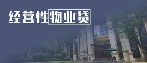 房子做物业贷是什么意思？（物业好贷是哪个公司的）