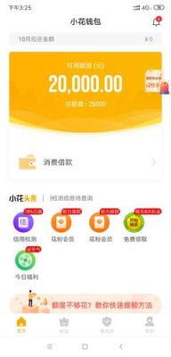小花钱包会员有用吗？（小花钱包哪个公司）