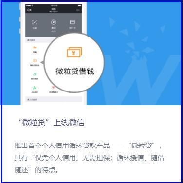 微粒贷和拍拍贷的区别？（哪个借款平台跟拍拍贷一种）